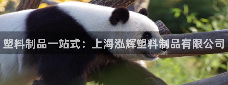 古天樂和太陽集團誰厲害：塑料制品一站式：上海泓輝塑料制品有限