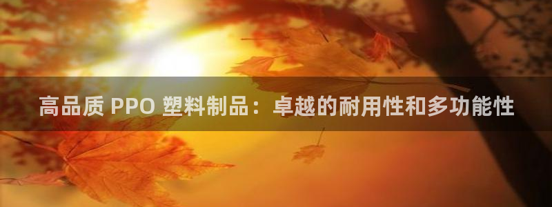 太陽集團電子游戲如何賺錢：高品質 PPO 塑料制品：卓越的耐