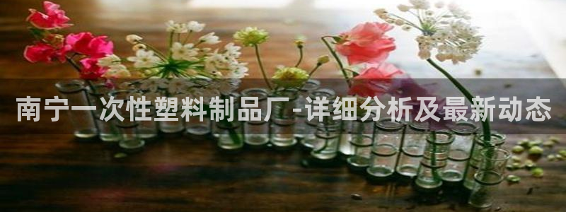 太陽集團網(wǎng)站入口：南寧一次性塑料制品廠-詳細(xì)分析及最新動態(tài)