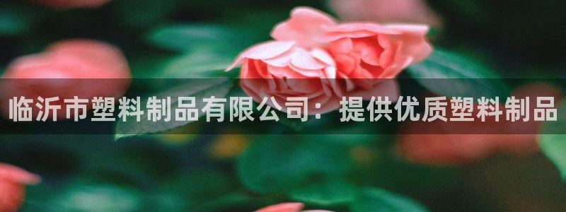 太陽集團備用網(wǎng)址：臨沂市塑料制品有限公司：提供優(yōu)質(zhì)塑料制品