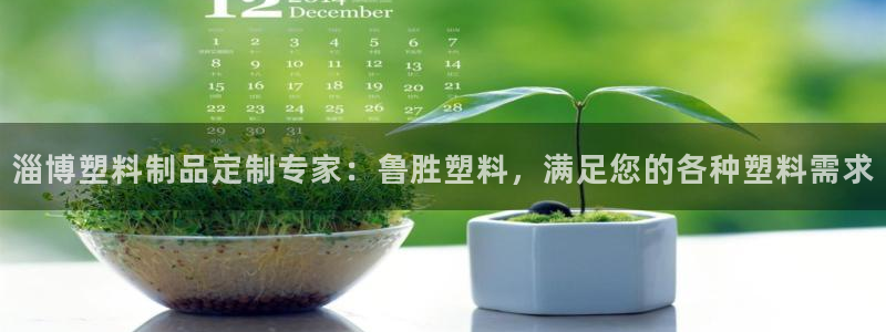 太陽成集團tyc33455cc平臺：淄博塑料制品定制專家：魯