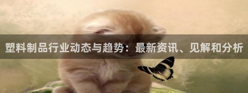 太陽游戲漢化：塑料制品行業(yè)動態(tài)與趨勢：最新資訊、見解和分析
